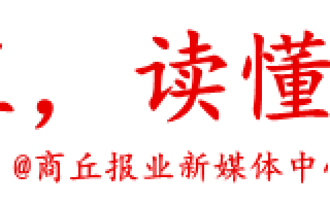 商丘机动车保险排名前十(车辆保险前十名)