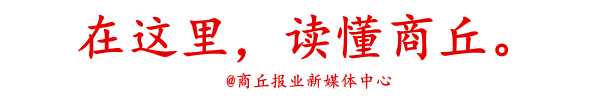 商丘机动车保险排名前十(车辆保险前十名)插图