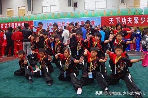 河南武术类培训排名前十(郑州武术培训班排行榜)插图1