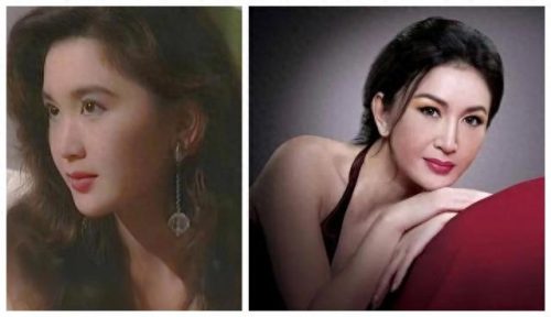 中国女明星十大鼻子排行榜(中国鼻子最美的十大女星)插图14