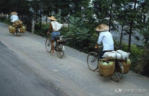 十大高端变色镜头排行榜(十大变焦镜头排行榜)插图5