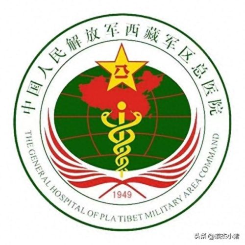 中部战区直属单位排名前十(中部战区空军雷达26旅)插图1