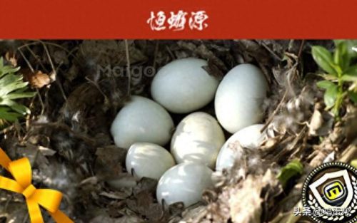 销售鸡蛋的企业排名前十(全国最大的鸡蛋企业)插图4