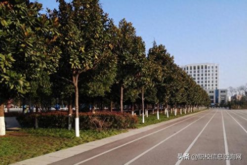 麒麟区财会公司排名前十(曲靖财会公司十大排名)插图