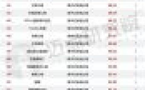 河西区网络公司排名前十(网络证券公司排名)