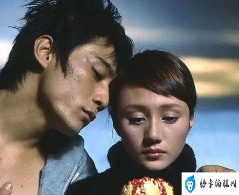 夏雨袁泉什么时候结的婚(夏雨与袁泉是什么关系)插图28