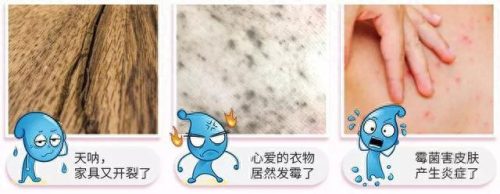 房间祛湿气十大排行榜(女性祛湿气最快的方法)插图7