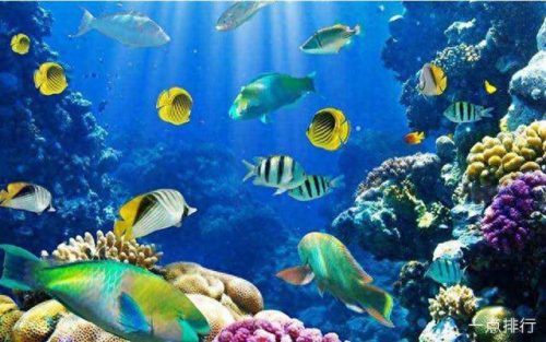 北海景点排行榜(北海口碑最好的民宿)插图4