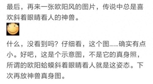 圣墟中十大神龙排行榜(圣墟免费阅读全文完整版)插图1