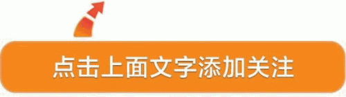 十大名犬排行榜图片欣赏(世界十大名犬排名大全)插图