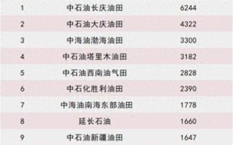 中国地方石油企业排名前十(石油行业十强排行榜)