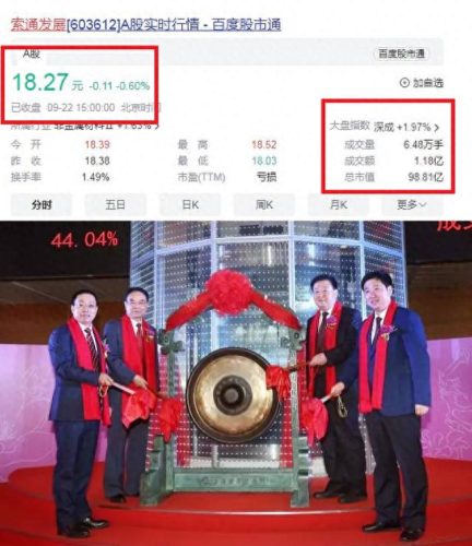 中国最大的材料厂排名前十(中国最大硅矿排名)插图9