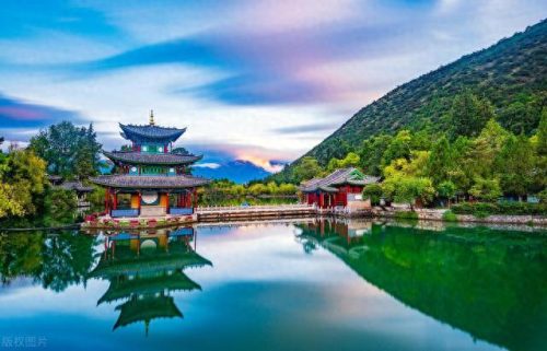 云南省十大鲜花品牌排行榜(云南十大顶级茶叶品牌)插图9