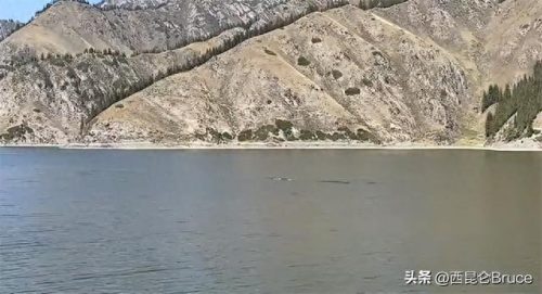 水怪真相(尼斯湖水怪真相)插图3