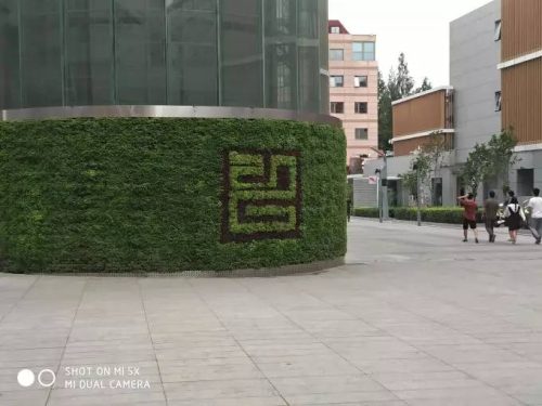 小米5X手机值得买吗(小米5x现在还值得买吗)插图17