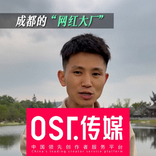 成都的网红公司排名前十(在成都的网红公司)插图1