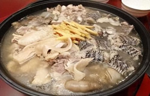 蛇类的十大天敌是什么(蛇最怕一个东西)插图43