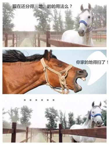辩论赛中噎死对方的话(一句噎死对方的神回复)插图5