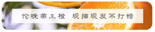 脚气药十大排行榜 进口(进口脚气药排行榜)插图31