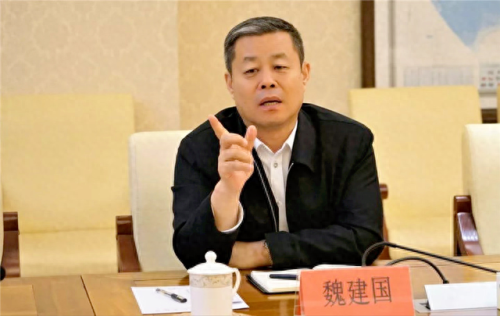 中国最大的材料厂排名前十(中国最大硅矿排名)插图4