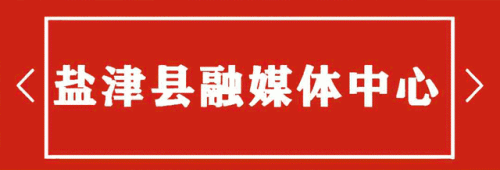 语录计划(正能量励志语录)插图1 语录计划(正能量励志语录)插图1