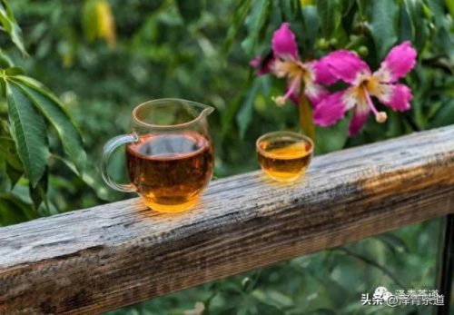 高质量茶叶品牌排行榜十大(十大高档茶叶品牌)插图3
