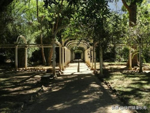 世界十大最美植物园排行榜(中国十大最美植物园)插图23