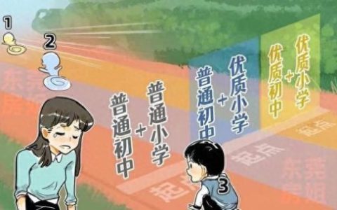 三亚天涯区中学排名前十(三亚天涯区的初中排名)