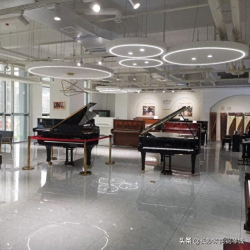 长沙市钢琴排名前十(娄底钢琴排行榜)插图5