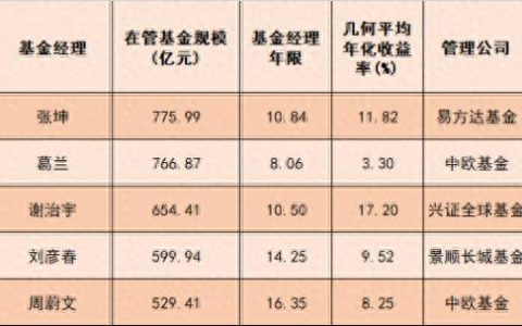 排名前十的优秀基金经理(嘉实基金经理十大排名)
