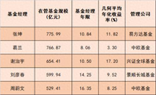 排名前十的优秀基金经理(嘉实基金经理十大排名)插图