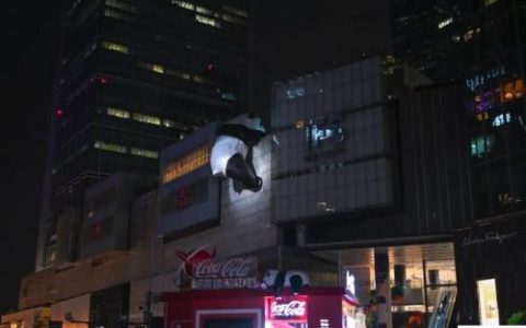 国家为什么要限电(国家为什么要限电限产)
