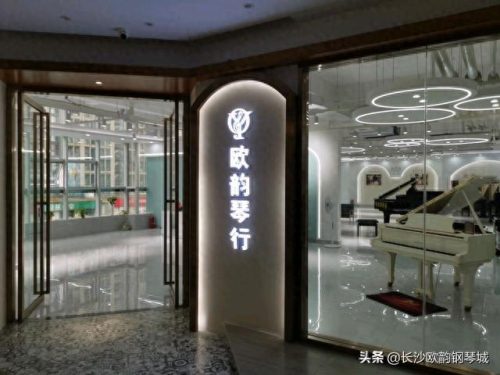 长沙市钢琴排名前十(娄底钢琴排行榜)插图4