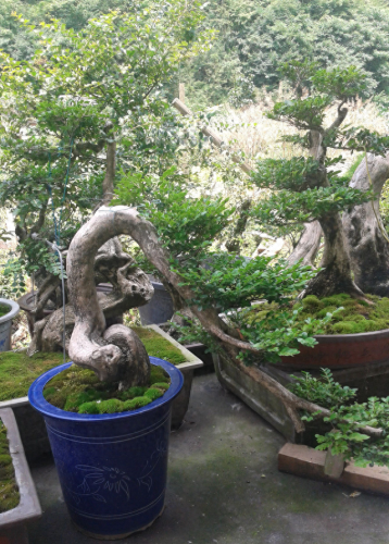 十大名贵石头排行榜(石头手串十大排名)插图6