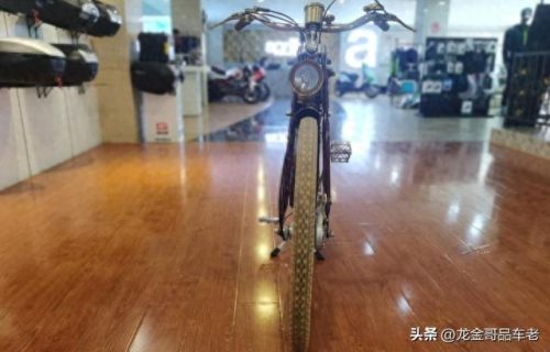 燃油助力车品牌(燃油助力车哪个牌子好点)插图5