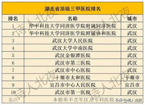 湖北医院规划设计排名前十(湖北最好医院排名)插图10