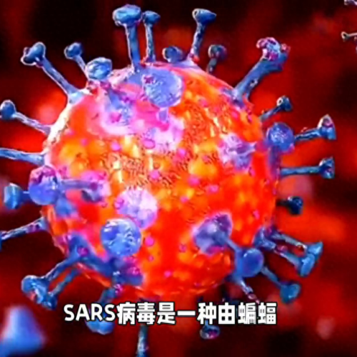 世界十大病毒排行榜排名(世界最强的病毒排行榜)插图1