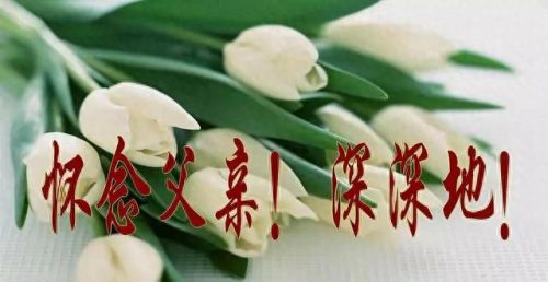 思念天堂父亲的句子(女儿思念父亲的短句)插图6
