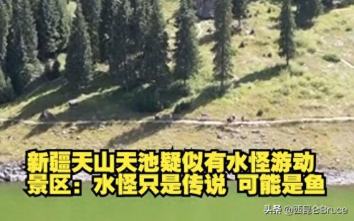 水怪真相(尼斯湖水怪真相)插图4