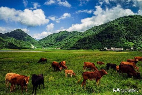 世界最美森林公园排名前十(十大森林公园排行榜)插图6