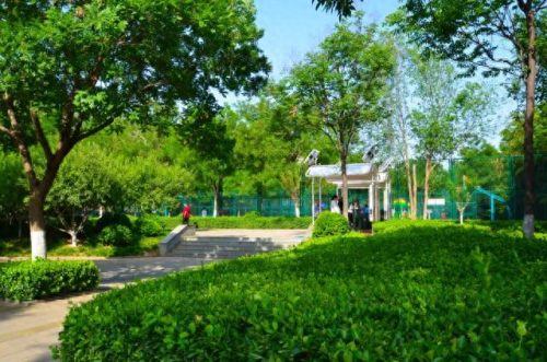 山东亲子乐园十大排行榜(山东最好玩的儿童乐园)插图53