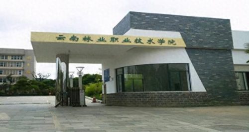 云南职业技能学校排名前十(云南省最好的职业学校)插图5