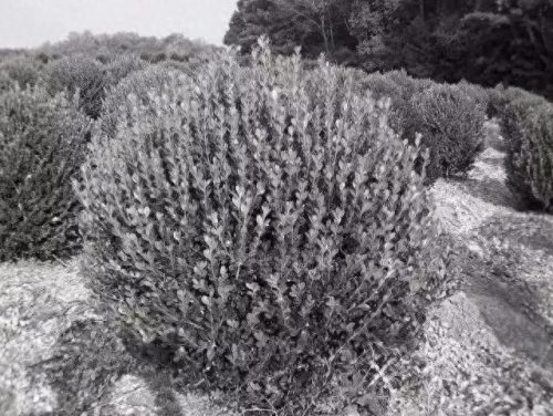 酉阳正规大件搬运排名前十(璧山靠谱的大件搬运公司)插图7