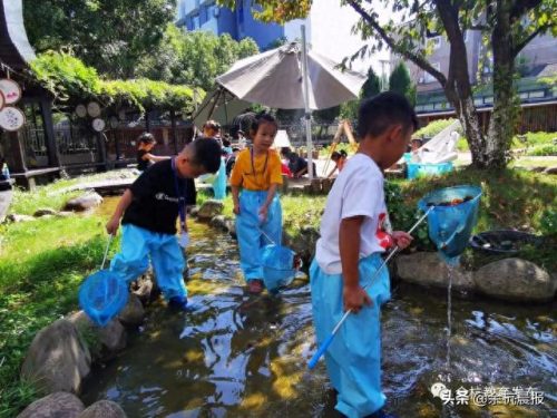 嘉兴余杭幼儿园排名前十(杭州余杭幼儿园十强排名)插图5