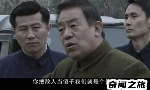 好看的谍战片2022(好看的谍战剧2023)插图21
