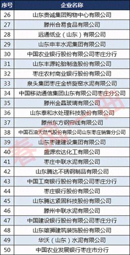 山东聊城水泥厂家排名前十(聊城佳鑫水泥)插图4