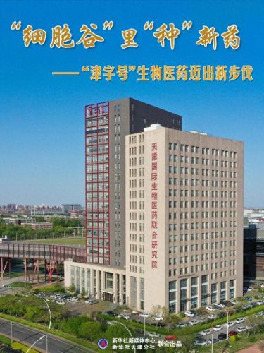 塘沽财务外包公司排名前十(静海区财务外包排行榜)插图