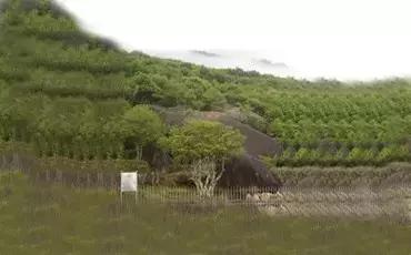 十大国内最贵香烟排行榜(中国最贵十种香烟排行)插图66