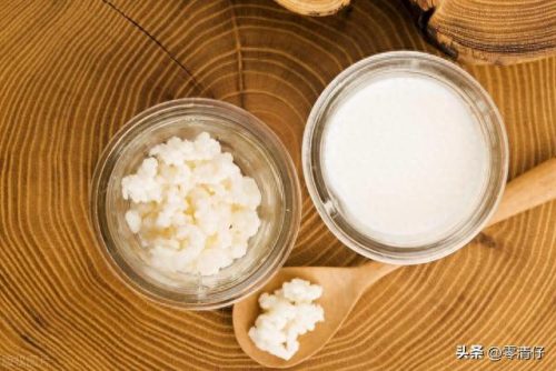 十大酸奶品牌排行榜最新(十大最好酸奶品牌)插图7