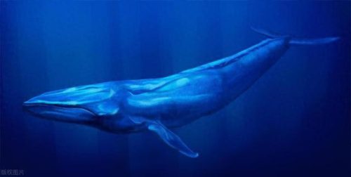 世界生物大小排名前十(中国十大生物公司排名)插图2